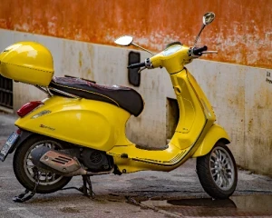 Scooter bdaf0c13